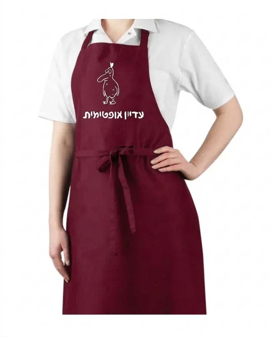סינרים במגוון דוגמאות